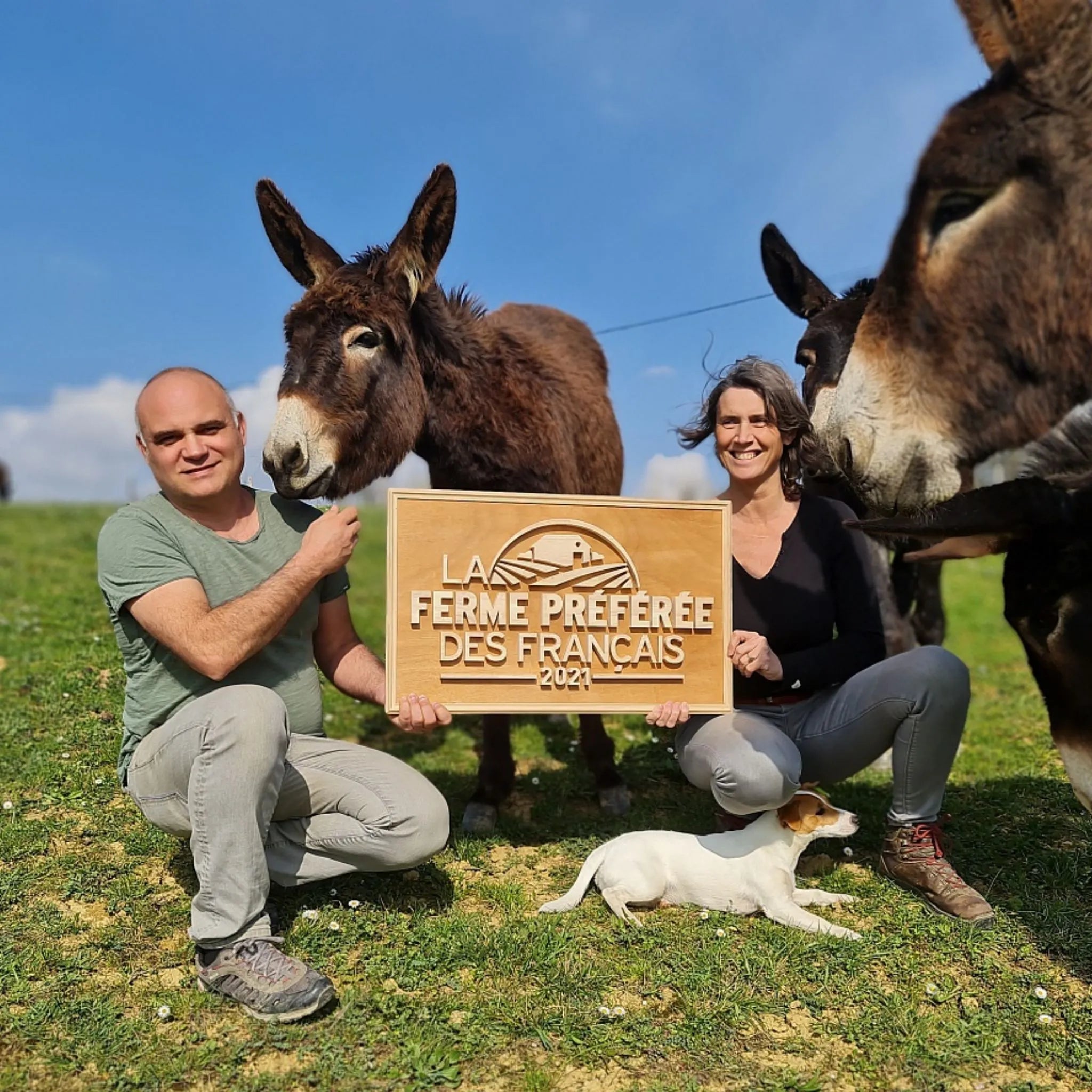 Eau florale Bleuet Bio apaisante