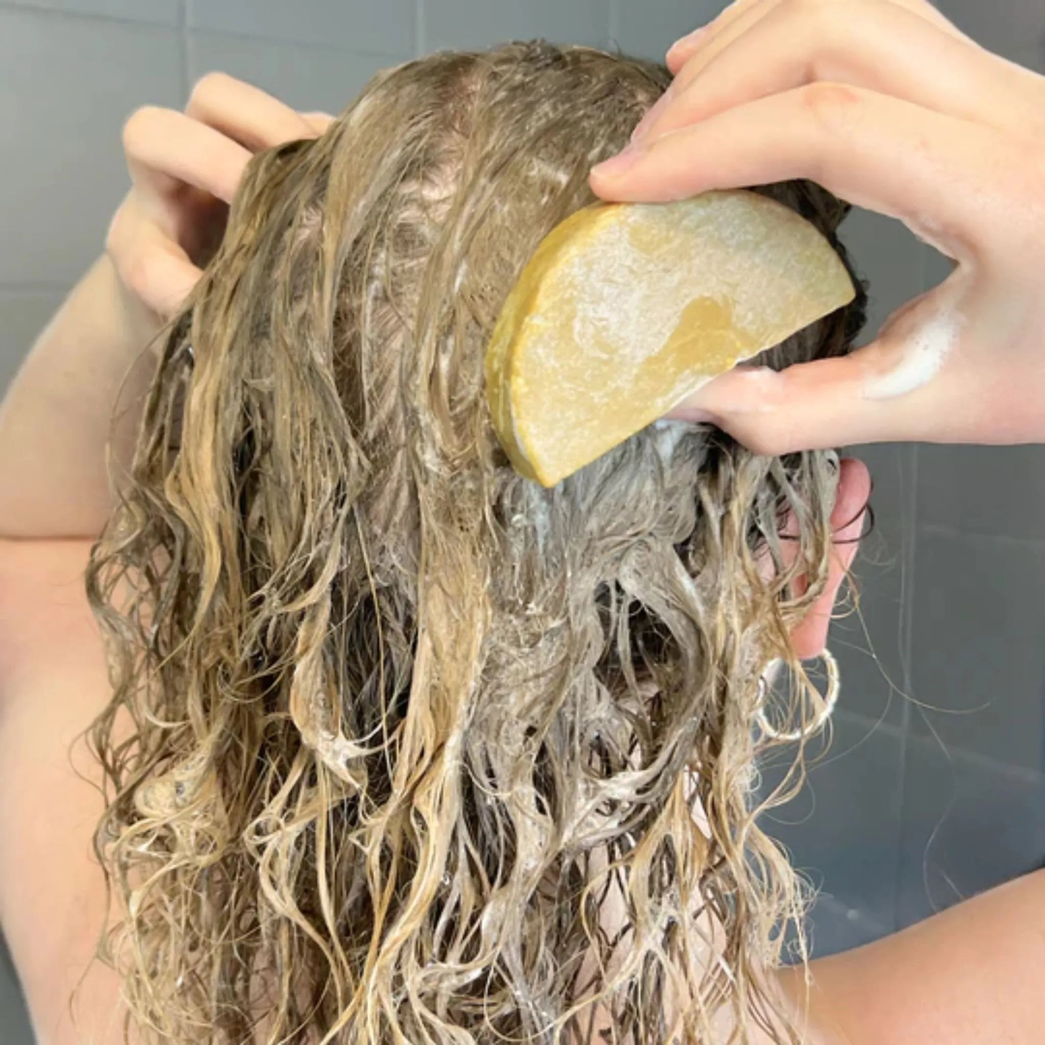 Shampoing Solide Bio Cheveux Secs Nourrissant