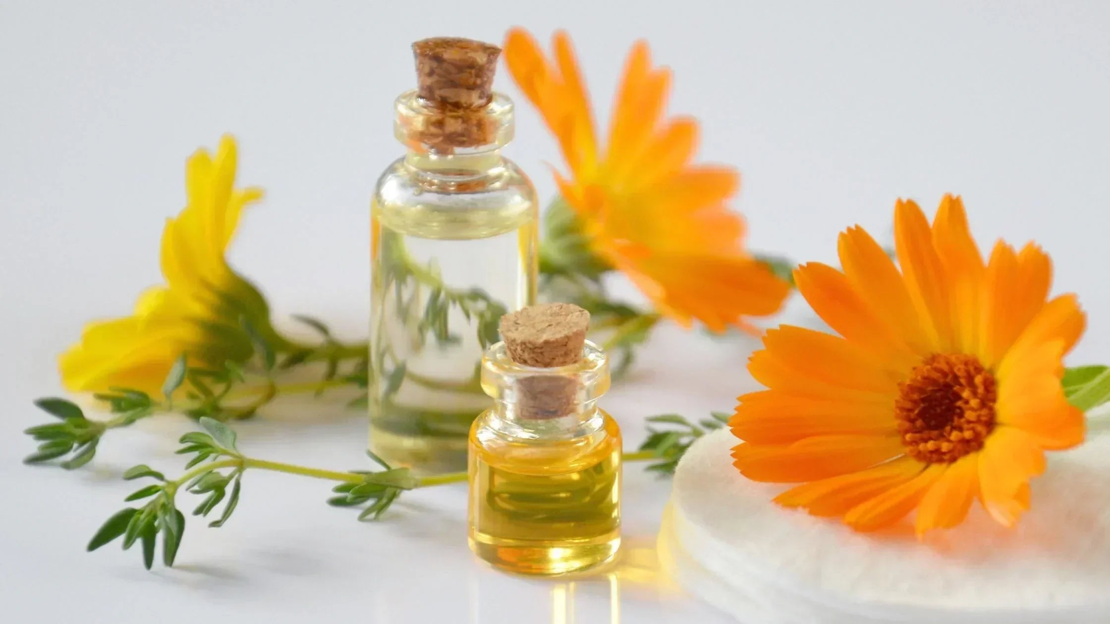 Huile végétale pour peau sensible : pourquoi choisir le calendula