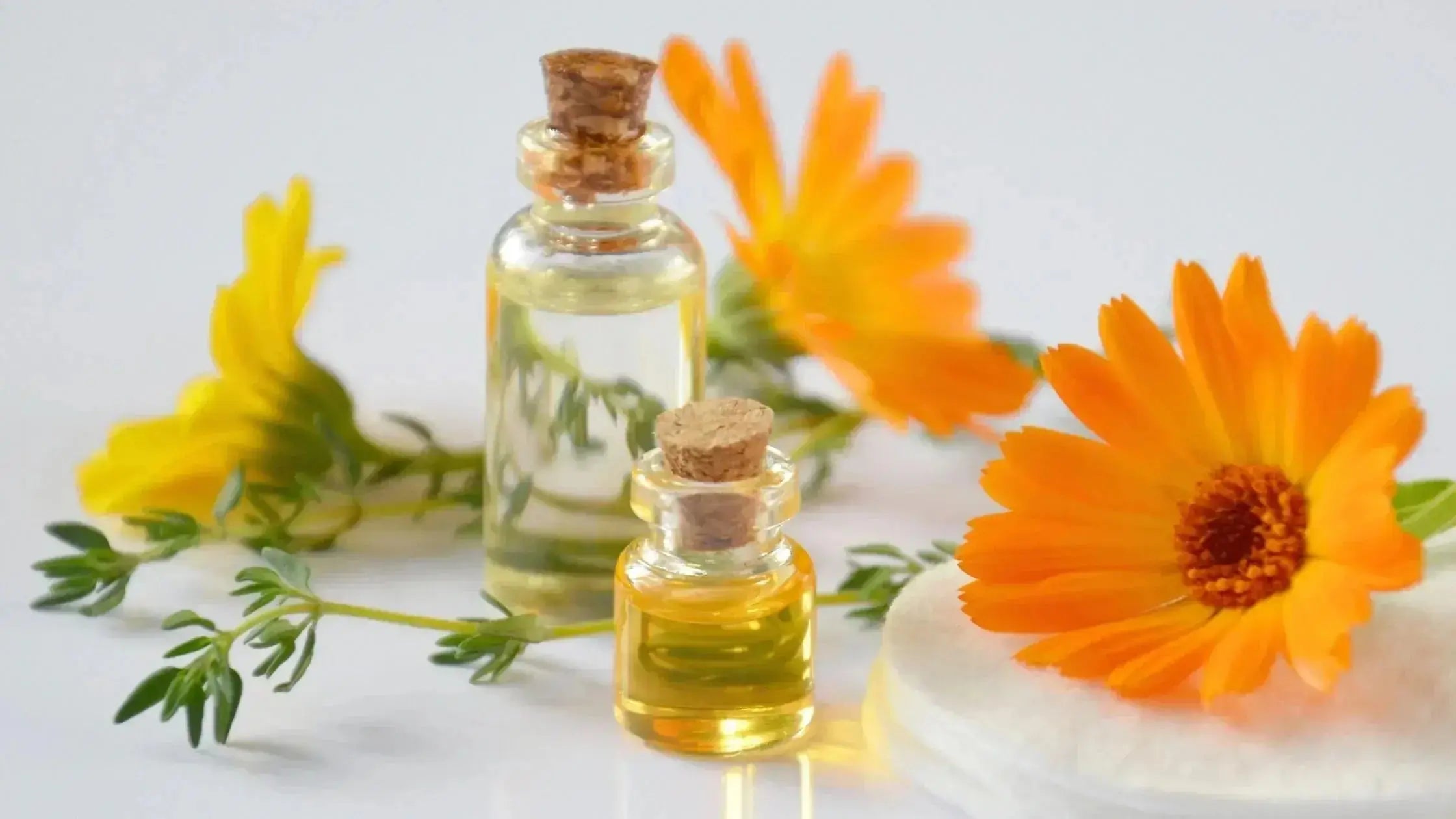 Huile végétale pour peau sensible : pourquoi choisir le calendula - Les Pépites de Valou