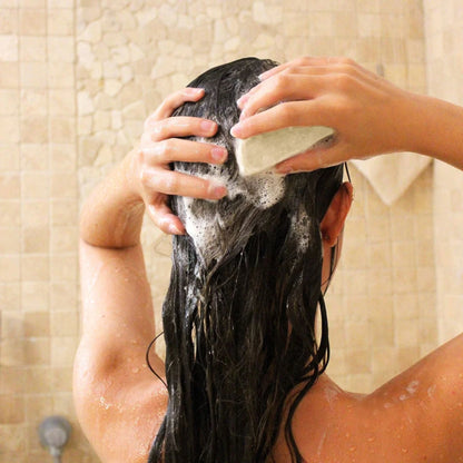 Shampoing Solide BIO Cheveux Normaux