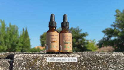 Paillettes Champagne illuminatrices