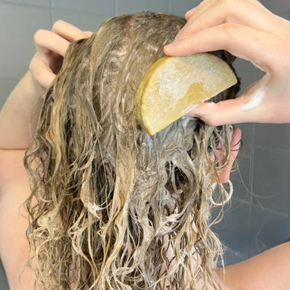 Shampoing Solide Bio Cheveux Secs Nourrissant